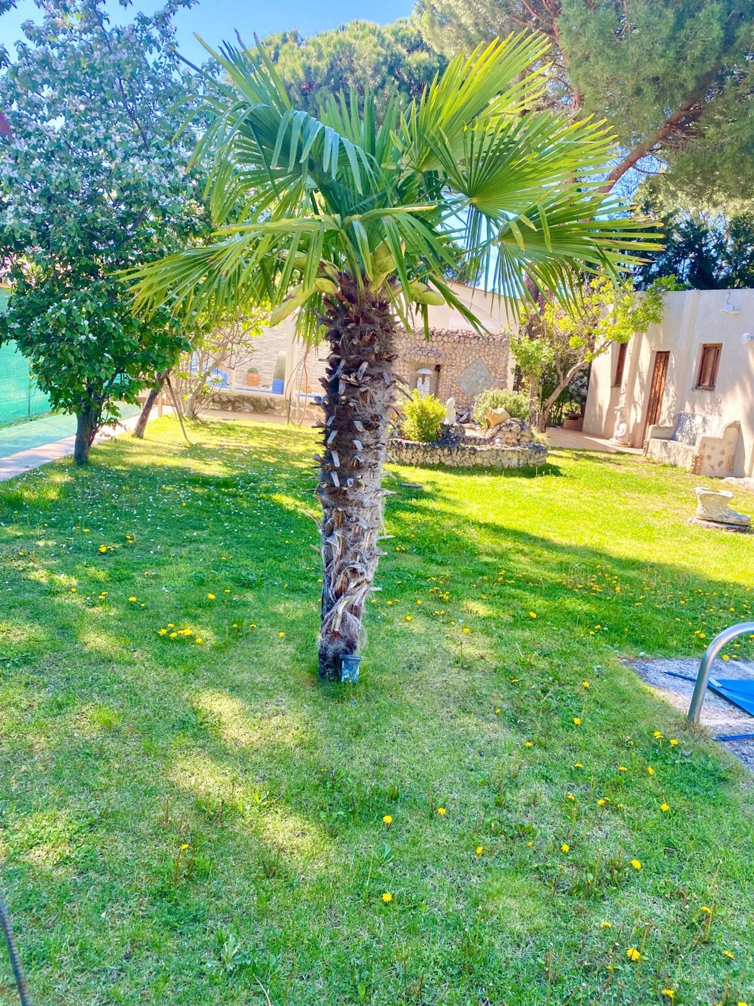 Ferienhaus Con Piscina El Refugio De Venecia